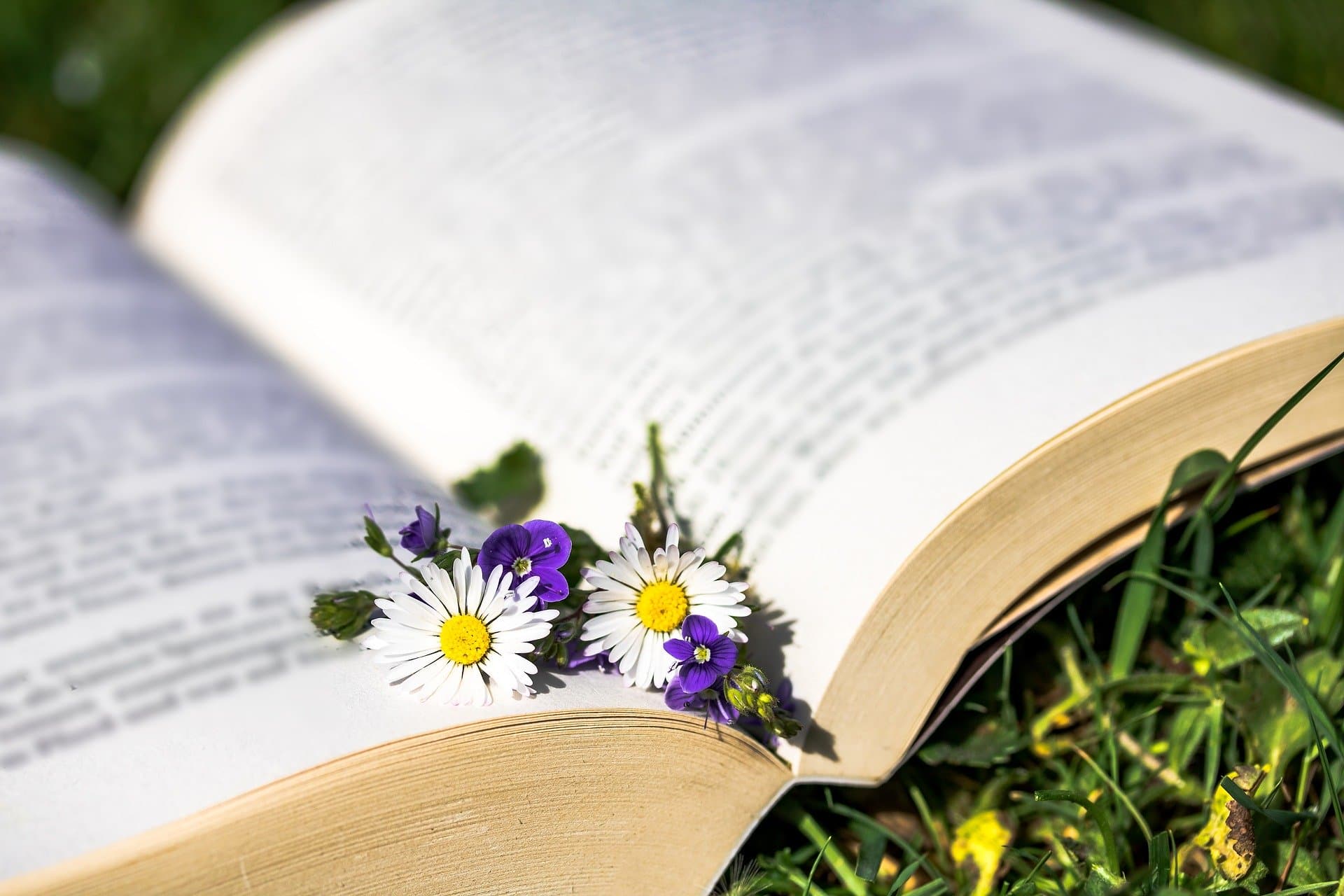 auszeit_coaching_pause Buch Blumen Pause Coaching