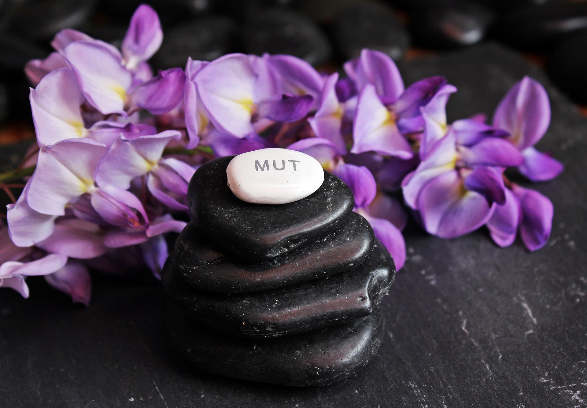 mut-balance-achtsam Mut Stein Blumen Achtsam